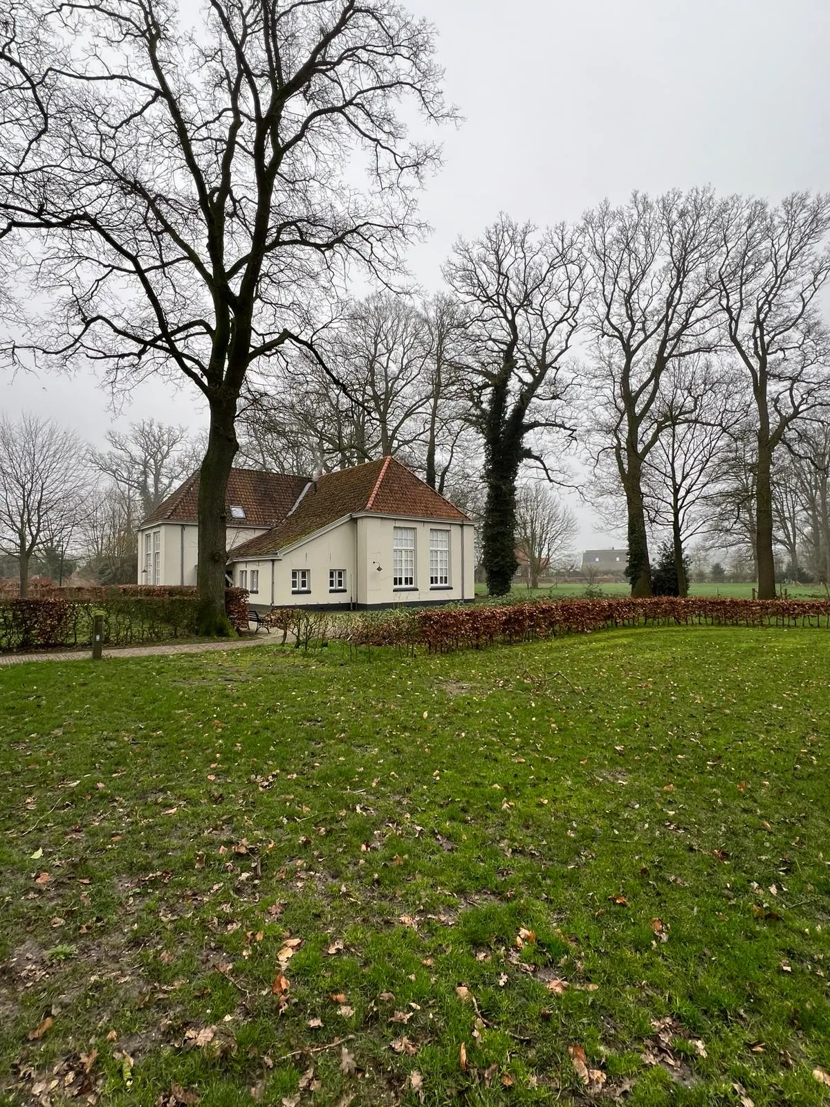 aanmelden-als-representant-voor-de-familieopstelling-van-12-februari-2026